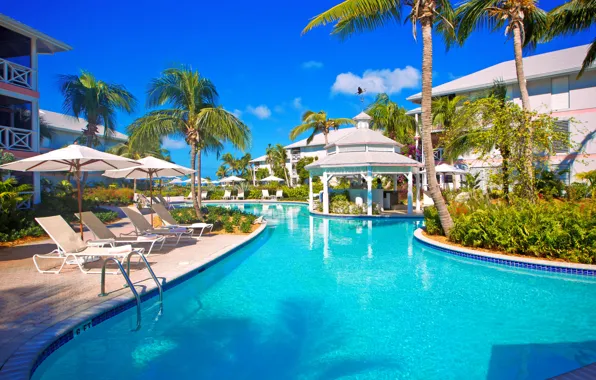 The sky, palm trees, vacation, pool, chaise, the hotel, gazebo