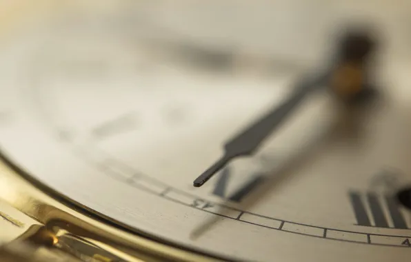 Macro, time, watch