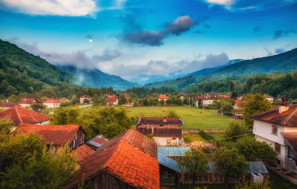 Forest, summer, mountains, fog, roof, village, houses, settlement
