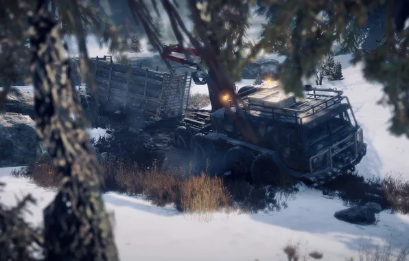 HDR, Canada, Wood, Winter, Lights, Snow, Game, Mud