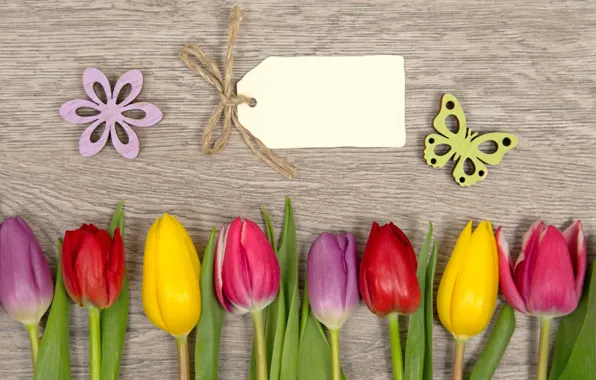Flowers, colorful, tulips, love, flowers, romantic, tulips, spring