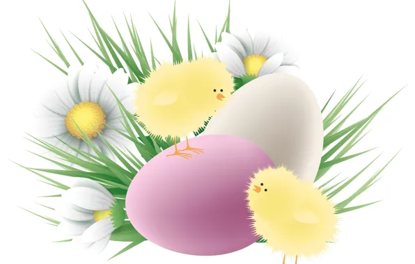Picture chickens, chamomile, eggs, Easter