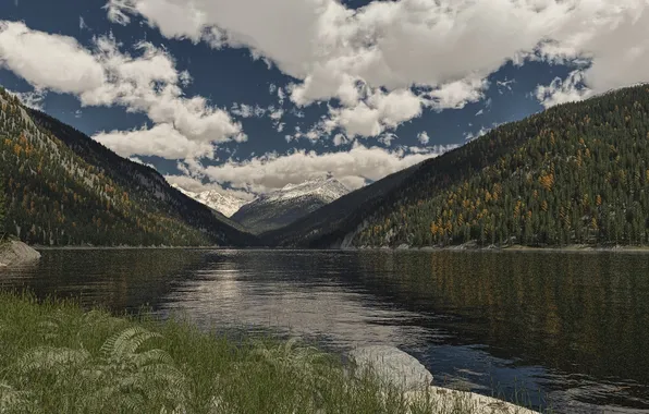 Picture forest, clouds, trees, mountains, lake, hills, art