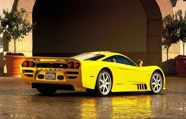 Yellow, reflection, arch, Saleen, rear view, the bushes, hypercar, TwinTurbo