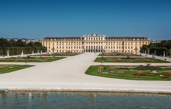 Water, Austria, statues, beds, Austria, Vienna, Vienna, Schonbrunn Palace