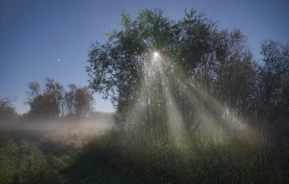 Picture fog, moonlit night, Evgeny Smolsky