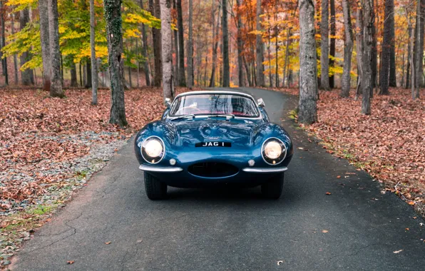 Picture Jaguar, front, 1957, XKSS, Jaguar XKSS