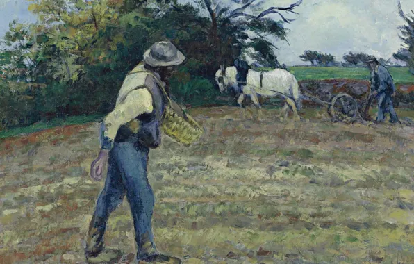 Field, picture, genre, Camille Pissarro, The sower and the Plowman. Manful