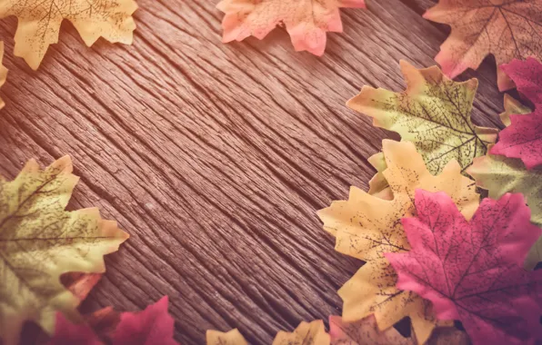 Autumn, leaves, background, tree, wood, background, autumn, leaves