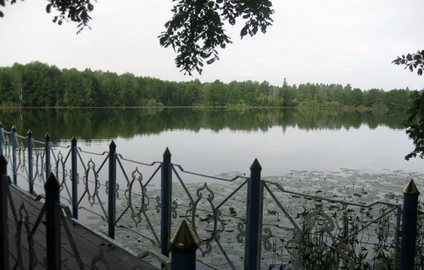Forest, water, bridge, lake