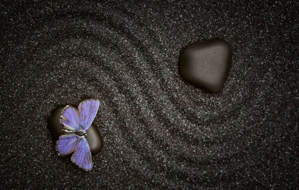 Picture sand, pattern, butterfly, stone, texture