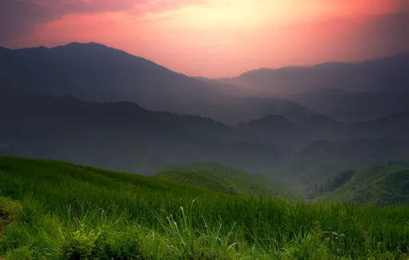 Mountains, China, field