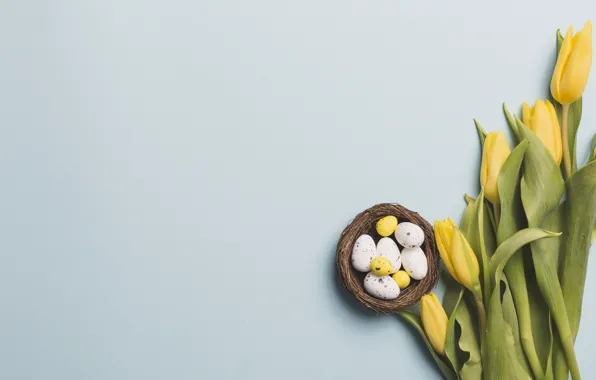 Flowers, yellow, spring, Easter, tulips, yellow, flowers, tulips