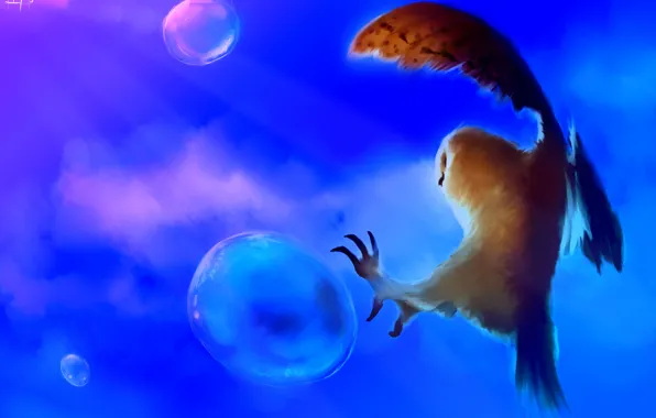 Bubbles, background, owl, bird, art