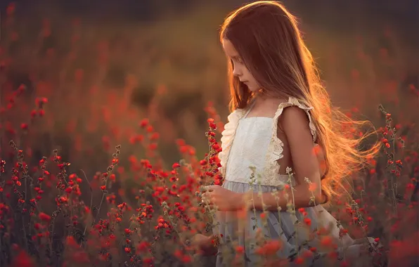 Picture field, flowers, Girl