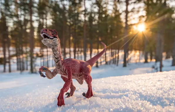 Background, toy, dinosaur