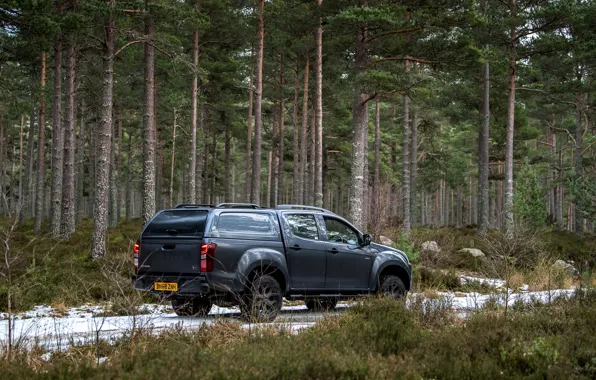 Picture pickup, 2018, coniferous forest, Isuzu, Huntsman, D-Max, UK version