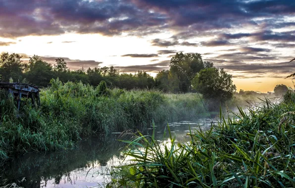 The sky, Water, Grass, Channel
