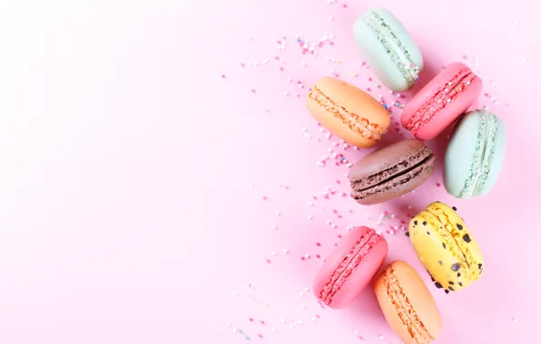 Cookies, cake, dessert, color, macaron