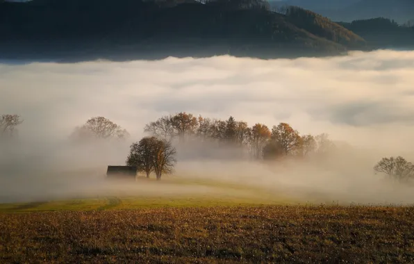 Autumn, trees, fog, meadow, house, Carl Egger