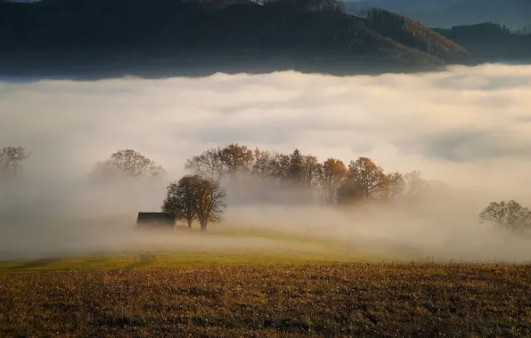 Picture autumn, trees, fog, meadow, house, Carl Egger