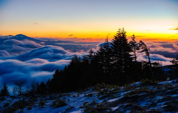 The sky, clouds, trees, landscape, mountains, panorama