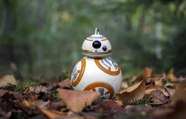 Picture Star Wars, autumn, BB-8