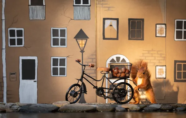 Look, light, bike, the city, pose, house, stones, toy
