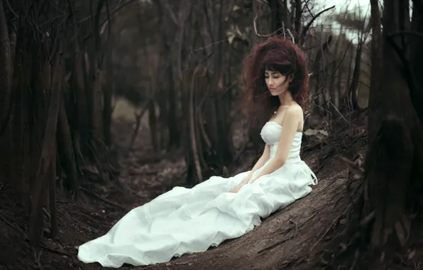 GIRL, FOREST, HAIR, WHITE, DRESS, BROWN hair, TREES, BRANCHES