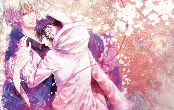 Flowers, spring, guys, Durarara, Durarara, Shizuo Heiwajima, Of Izaya Orihara