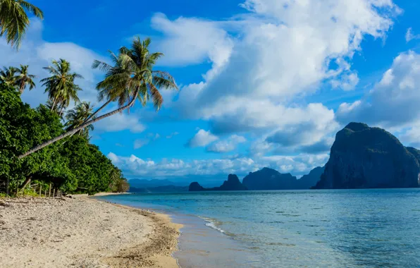 Sand, sea, beach, the sky, clouds, tropics, palm trees, rocks