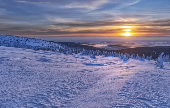 Winter, snow, mountains, sunrise, dawn, morning, Czech Republic, Czech Republic