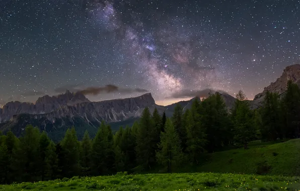 Field, forest, the sky, stars, mountains, night, rocks, ate