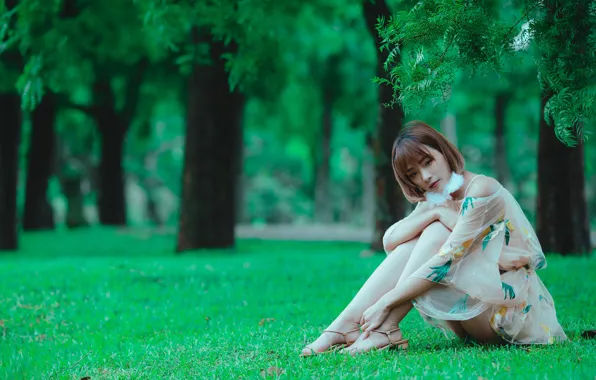 Picture look, trees, dress, dress, trees, look, beautiful Asian girl, charming brown-haired