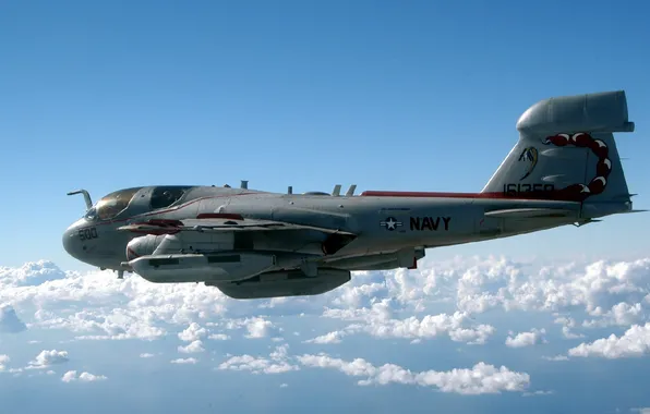 Aircraft, military, airplane, vehicle