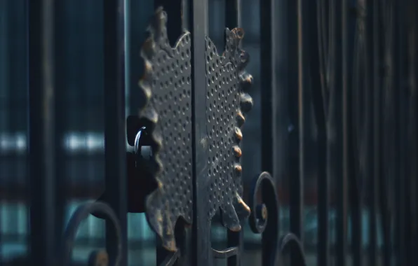 Metal, castle, the fence, grille, forging