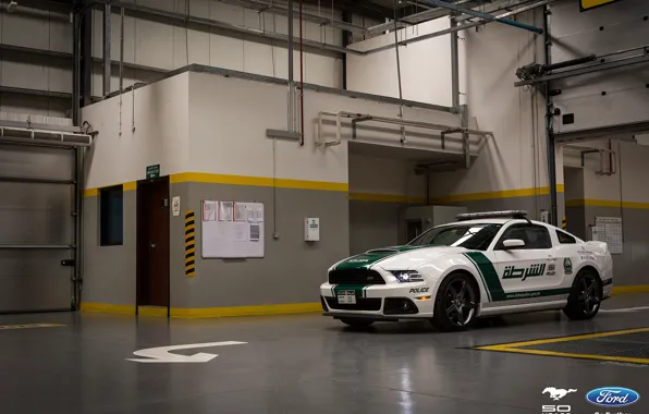 Picture Mustang, Ford, Dubai, Police, Roush