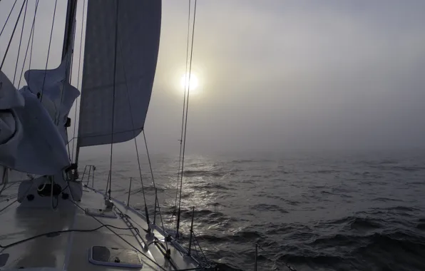 Sea, fog, morning, yacht, haze