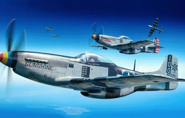 Fighter, USA, North American P-51 Mustang, US Airforce, Piotr Forkasiewicz, P-51K Mustang