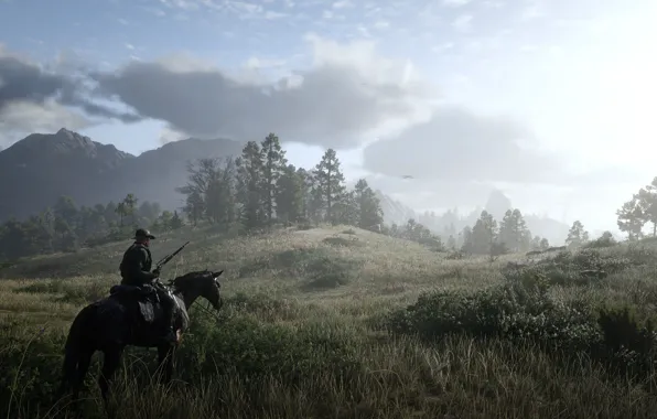 Nature, cowboy, red dead redemption 2