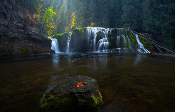 Autumn, forest, rocks, leaf, waterfall, cascade