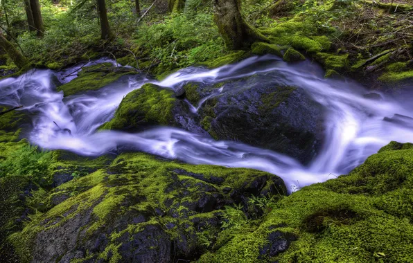Water, nature, stones, moss, stream