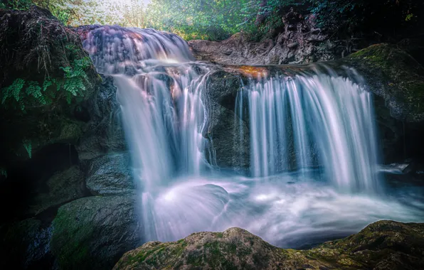 Forest, stream, stones, France, waterfall, moss, the bushes, Carces