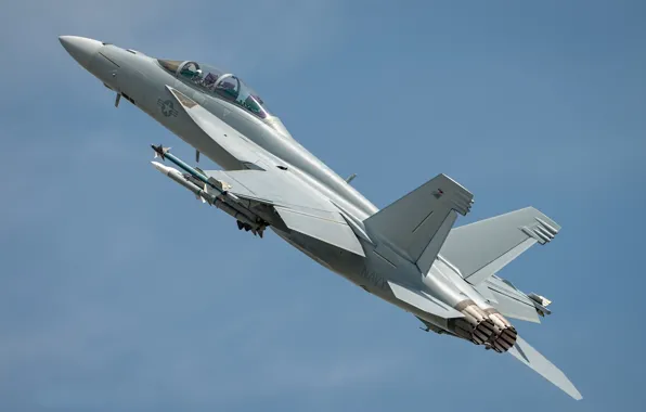 Picture the sky, mediocrity, the plane, F/A-18F Super Hornet