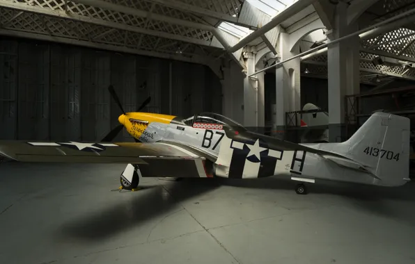 Picture Mustang, P-51, Hangar, Fighter
