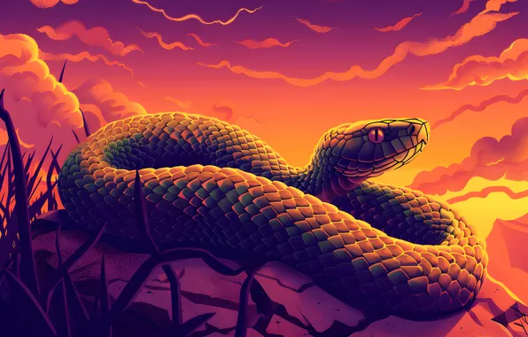 Picture Clouds, Snake, Stone, Face, Art, Reptile, Animal, Digital art