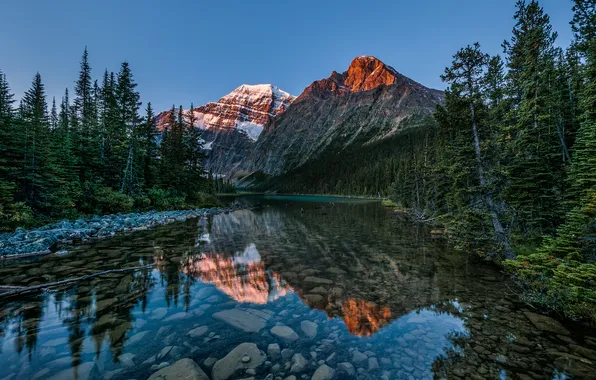 Forest, nature, lake, Canada, Albert, Jasper National Park, mount Edith Kavell