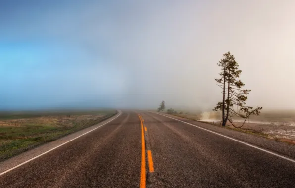 Road, fog, Wallpaper, widescreen