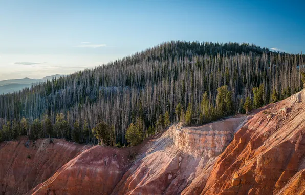 Forest, the sky, light, trees, mountains, rocks, the slopes, height