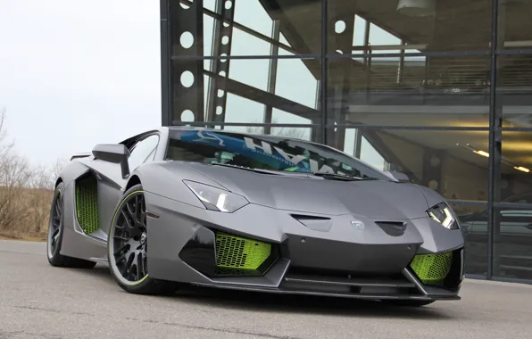 Lamborghini, Hamann, Aventador